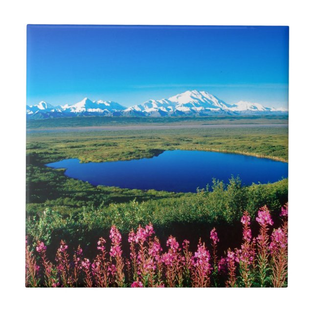 Scene Tundra Mount Mckinley Denali Alaska Tile (Front)