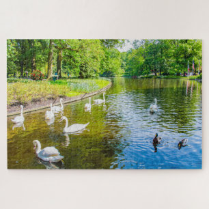 Scene with swans from Keukenhof Park, Netherlands Jigsaw Puzzle
