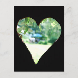 Scenery 15 postcard