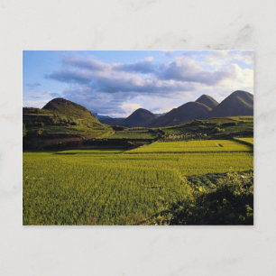 Scenery between Kaili and Qinghai, Guizhou Provinc Postcard