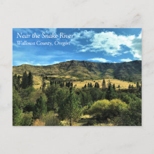 Scenery by the Snake River, OR Postcard