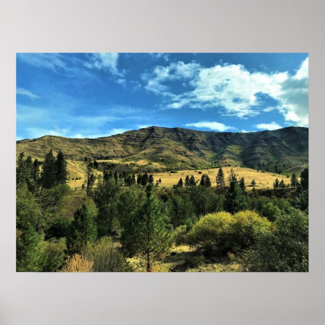 Scenery by the Snake River, Oregon Poster (Front)