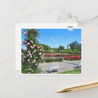 Scenery of Rose Garden Postcard