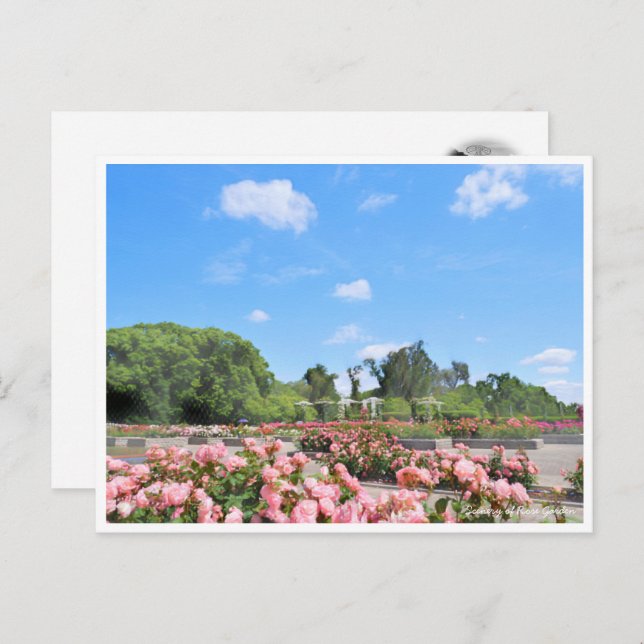 Scenery of Rose Garden Postcard (Front/Back)