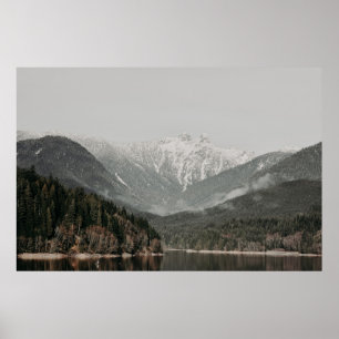 SCENERY OF TREES AND MOUNTAIN POSTER
