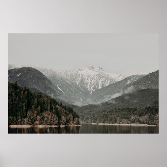 SCENERY OF TREES AND MOUNTAIN POSTER (Front)