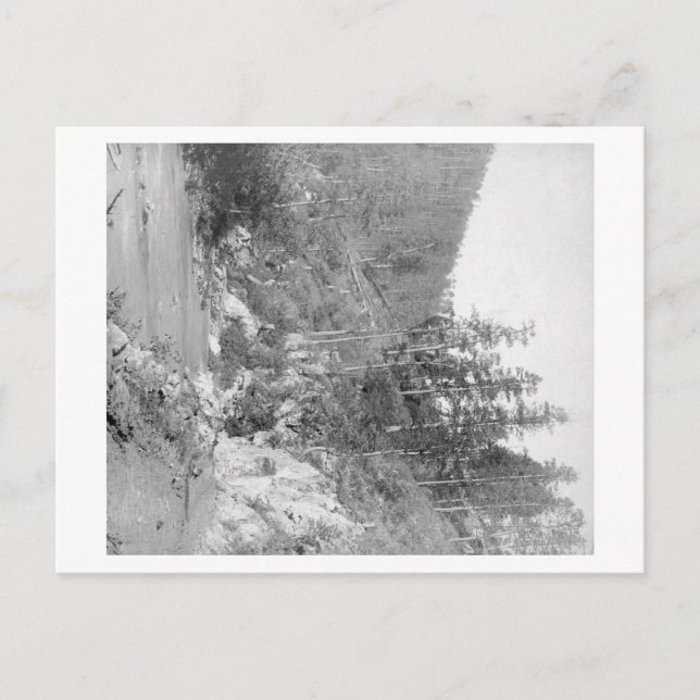 Scenery on the Deadwood Road to Sturgis Postcard (Front)