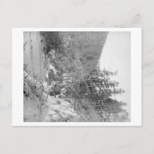 Scenery on the Deadwood Road to Sturgis Postcard
