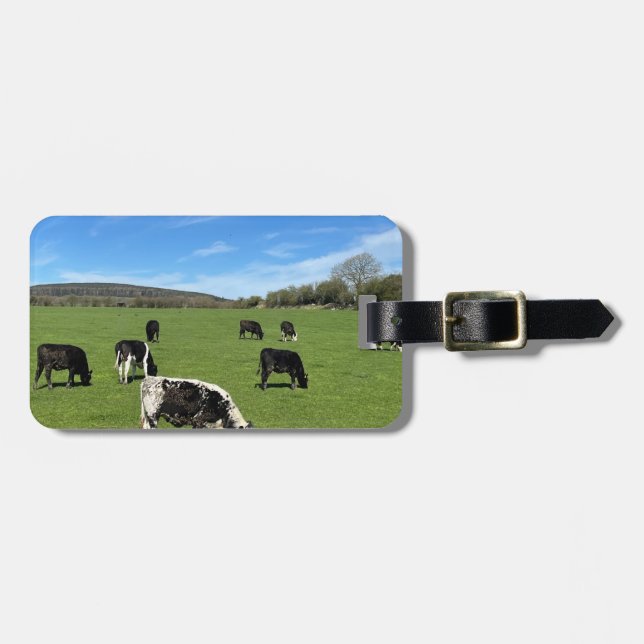 Scenes from Ireland Luggage Tag (Front Horizontal)