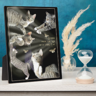 Scenes from the Life of a Happy Cat Plaque