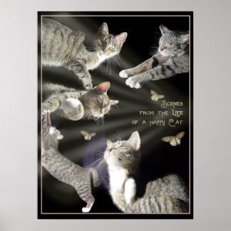 Scenes from the Life of a Happy Cat Poster
