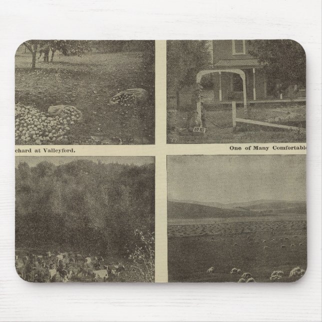 Scenes Inland Empire Mouse Mat (Front)