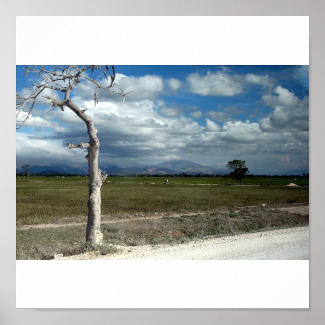 Scenes of Haiti Poster (Front)