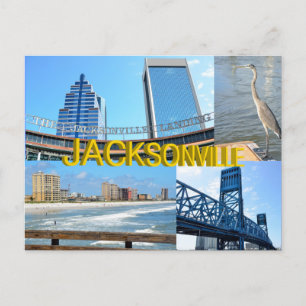 Scenes of Jacksonville, Florida Postcard
