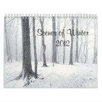 Scenes of Winter 2012 Calendar