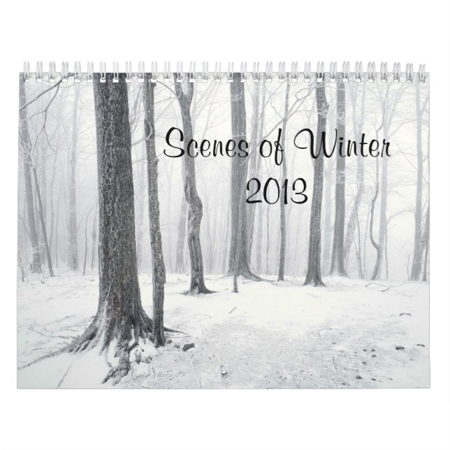 Scenes of Winter 2013  Calendar (Cover)