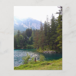 Scenic Alpine Forrest and Lake Postcard