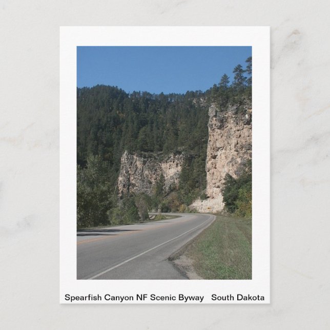 Scenic America Post Card (Front)
