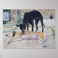 scenic art picture of grayhound dogs in a yard