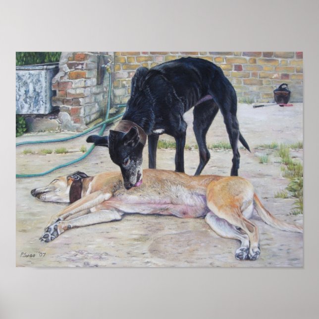 scenic art picture of grayhound dogs in a yard poster (Front)
