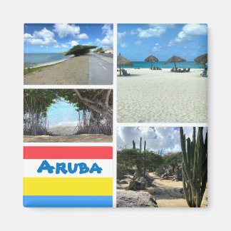 Scenic Beach and Desert Aruba  Magnet