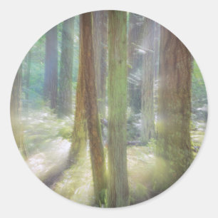 Scenic Beach State Park Classic Round Sticker