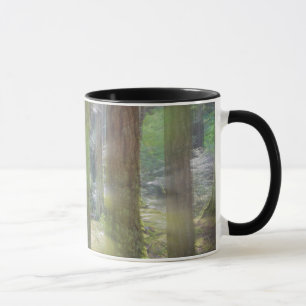 Scenic Beach State Park Mug