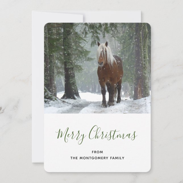 Scenic Brown Horse in a Winter Forest Christmas Holiday Card (Front)