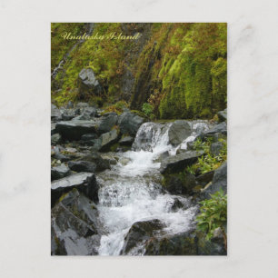 Scenic Creek Falls, Unalaska Island Postcard