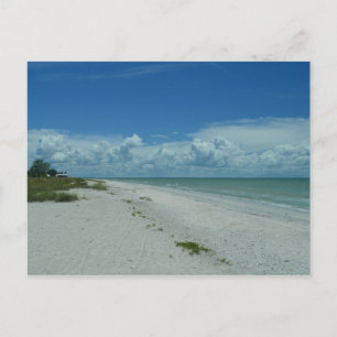 Scenic Day Tropical Beach Vacation Landscape Photo Postcard