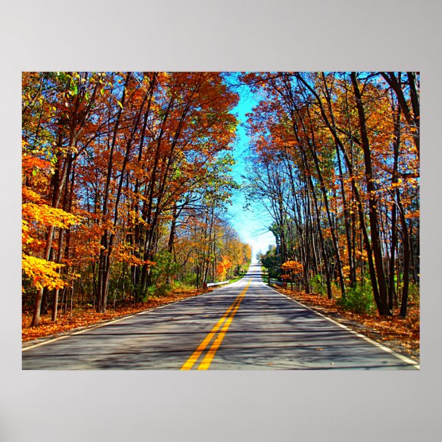 Scenic Drive Poster (Front)