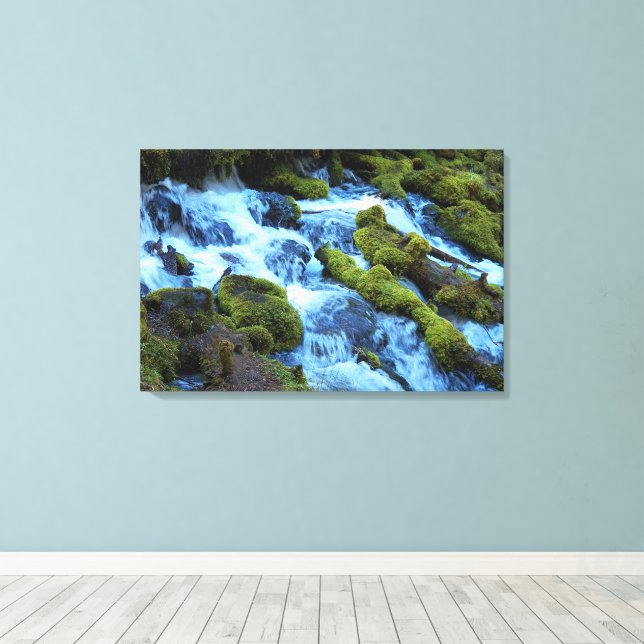 Scenic Forest Waterfall Landscape Canvas Print (Insitu(Wood Floor))