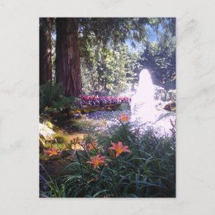 Scenic Garden and Water Fountain Postcard