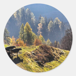 Scenic Graubunden Switzerland Classic Round Sticker