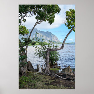 Scenic Hawaiian Coast View Poster