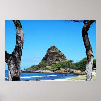 Scenic Hawaiian Coast View Poster