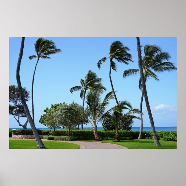 Scenic Hawaiian view Poster (Front)