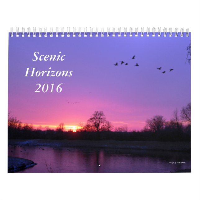 Scenic Horizons Calendar, 2016 Calendar (Cover)