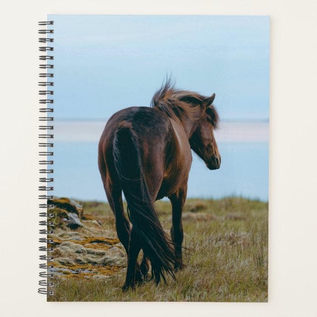 Scenic Horse Planner (Front)