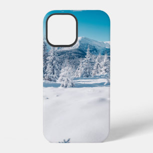 Scenic image of spruces tree. Frosty day, calm win iPhone 12 Case