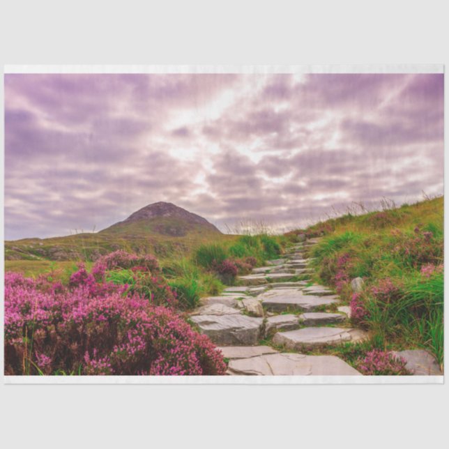 scenic Ireland tissue paper (Front)