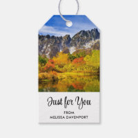 Scenic Landscape Forest and Mountains