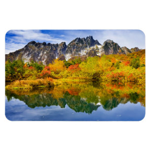 Scenic Landscape Forest and Mountains  Magnet