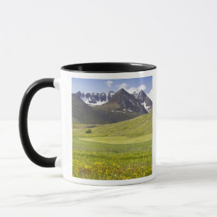Scenic landscape of Svarfadardalur valley Mug