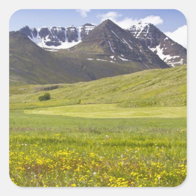 Scenic landscape of Svarfadardalur valley Square Sticker (Front)