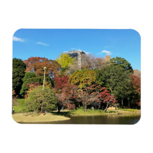 Scenic Landscape with Autumn Colour Magnet