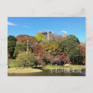 Scenic Landscape with Autumn Colour Postcard