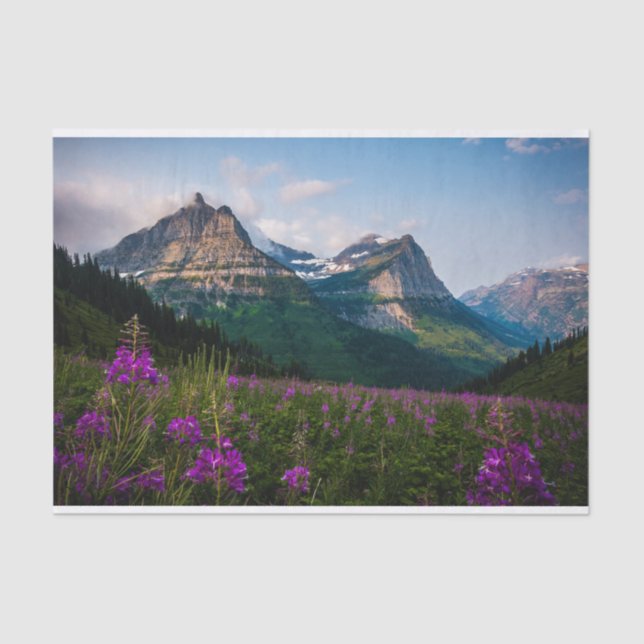 Scenic Lupine Meadow Mountain Majesty Tissue Paper (Front)