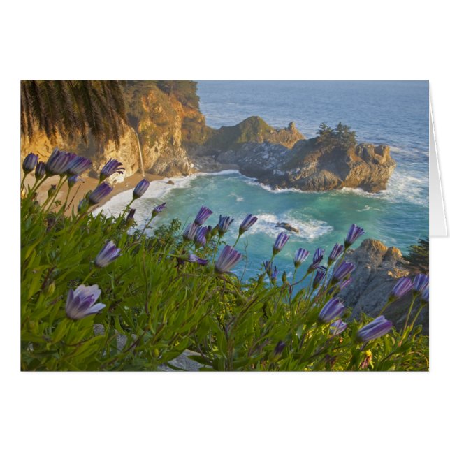 Scenic McWay Falls tumbles into the beach and (Front Horizontal)