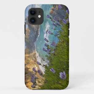 Scenic McWay Falls tumbles into the beach and iPhone 11 Case